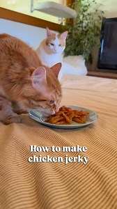 21K views · 4.1K reactions | Crispy Chicken Strips Snack ...