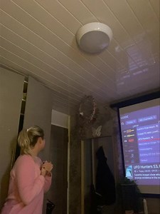 17K views · 890 reactions | Biting Brooke all morning  | Kelo the African Grey | Facebook