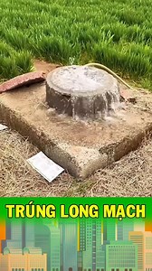 13K views · 11 reactions | https://s.shopee.vn/2B7Lu9kkgz | Gia Dụng Kendon | Facebook