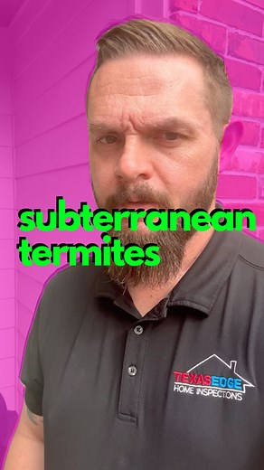 50K views · 1.1K reactions | Subterranean Termites  create intricate...