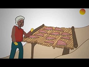 Conoce el proceso del pescado seco salado que se realiza en La Mosquitia