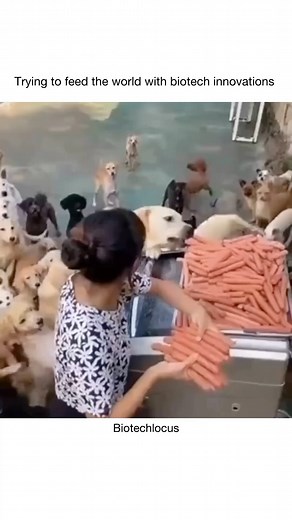 . . . . . . . . . . #biotechmemes #biology #medicine #biotech #biotechnology #microbiologist #microbiology #biotechnologist #biologystudent #engineering #genetics #microbiologists #molecularbiology #biotechjoke #biotechjokes #biotechmeme #immunology #biotechnologymeme #biotechnologymemes #biotechnologystudents #biotechmafia #locusbiotech #biotechlocus #lifesciences #csirnetlifesciences #phdlife #science #forensicscience #physiology #scienceblogs | Locus biotech