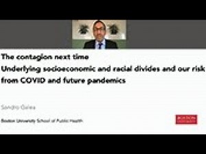 The Contagion Next Time: Underlying Socioeconomic, Racial Divides, COVID Risks and Future Pandemics