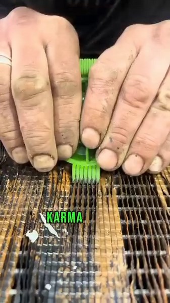 12K views · 235 reactions | #energyhealer #manifest #manifestation #manifesting #negativeenergyremoval #negative #negativeenergy #negativity #postivethoughts #PositiveThinking #positivevibes #postivemindset #positivevibes #postoftheday #positivevibesonly #positivity #goodenergy #goodvibesonly #goodvibes #goodvibes #goodvibesalways #goodenergyiscontagious #goodenergies #mantra #mantrameditation #mantraoftheday #spellcasting #spellcaster #spellwork | Spiritual Healer | Facebook