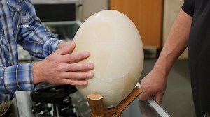 196K views · 5.2K reactions | El huevo fue primero, ya que los animales que ponían huevos (reptiles y dinosaurios) existieron mucho antes que las gallinas, pero Chum ha sido el único que se mete a escuchar música dentro de un huevo.  ¿Te gustó este video? Cuéntanos por qué abajo en comentarios. #ElPrecioDeLaHistoria | HISTORY | Facebook