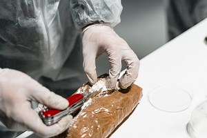 Traficanţi de droguri, reţinuţi de DIICOT la Constanța. Cocaina ar fi fost adusă în ţară printr-un serviciu poştal al Marii Britanii