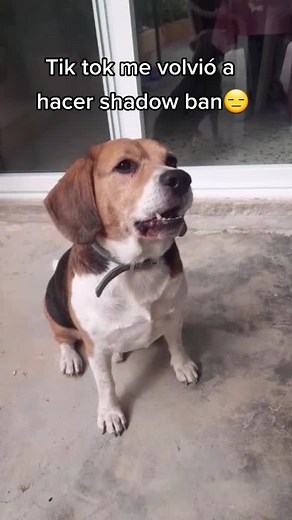 Cuentas recomendadas