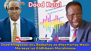 Dhagayso:- Dood Aflagaado isku Badashay oo dhaxmartay Xildhibaan Macalimoow iyo Wasiir Mareeye | Hogaan TV