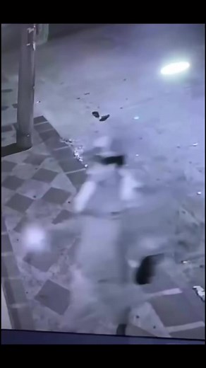 2.6K views · 17 reactions | vigilante se quedo dormido y esta ratica aprovecho el desorden para robarle su celular.. | La Popular Stereo Colombia TV | Facebook