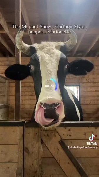 Oscar joins the Muppet Show! | Our Farmacy