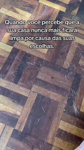Pug e Bulldog Francês: quando a casa nunca mais fica limpa