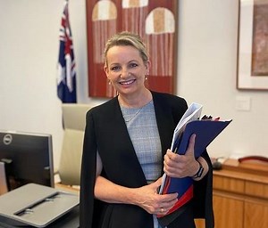 Who is Australian politician Sussan Ley husband? earnings, education