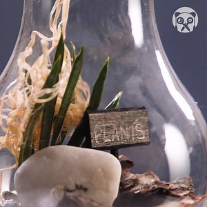 Smart Lightbulb Ideas Thanks for watching! Please be aware that this video is for entertainment purposes only and techniques shown should not be attempted at home! | Handy Panda