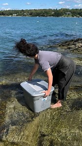 451K views · 381 reactions | One of the most incredible birds I’ve...