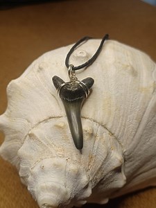 Fossilized Shark Tooth Necklace - Cretaceous Goblin - Over 50 Million Years Old! - Etsy