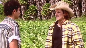 Gata Salvaje Capítulo 43