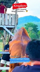 166 reactions · 4 comments | Kingdom / AC Stable Kota Bima #Kudapacu #Horse #Meta #Fbpro #animals #wrestling #anime #Fyp | Irwan Irwan | Facebook