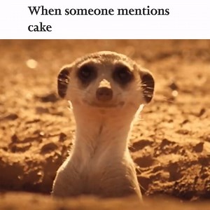 12K views · 103 reactions | Yes please!  | Wholesome Memes | Facebook