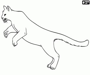 A puma jumping coloring page printable game