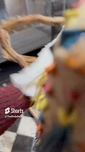 35 reactions |  Shower Surprise with Boo & Sara! 列 This Saturday...