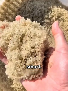 Smart & Strange Japanese Everyday Inventions