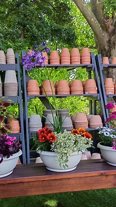 1.3K views · 97 reactions | "Thriller, Filler, Spiller" Not...