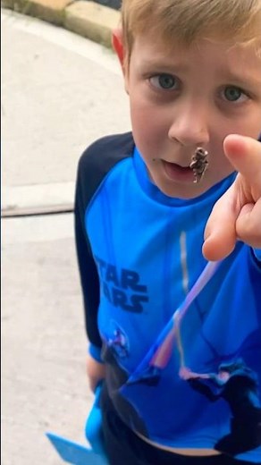 BAGWORM Climbing!! #bughunt #bughuntingadventures