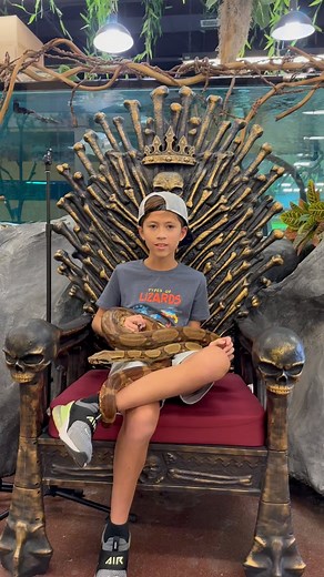 1.5K views · 17 reactions | Share our passion for reptiles? Visit NJ Exotic Pets today and explore our extensive reptile collection! | NJ Exotic Pets | Facebook