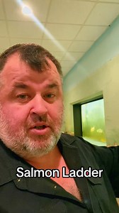 51K views · 321 reactions | Salmon Ladder #salmon #fish #salmonid #conservation #outdoorguys Salmonid Interpretation Centre | The Outdoor Guys | Facebook