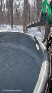 A favorite pre peepers sound … enjoy photo date/id: 20250302-iPhoneography13p (and yes, feel free to share) | Ken Scott Photography