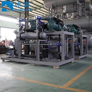 [Hot Item] Compound Two-Stage Screw Compressor Unit Ammonia CO2 Refrigeration System for Cold Storage Room