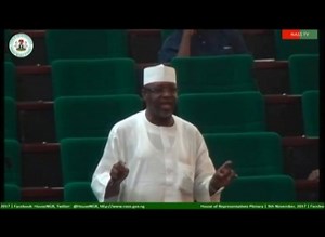 House of Representatives, Federal Republic of Nigeria on Reels
