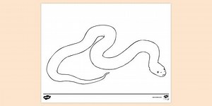 Snake Colouring Page