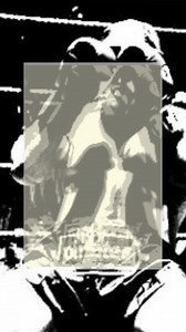 muaythaifever.com | Muay Thai Fever