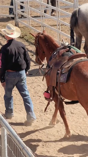 23K views · 278 reactions | Who knows this guy who’s currently sitting #7 in the PRCA world standings?! He rides a Relentless Team Roper! Want one like it? Customize your dream saddle with us this month and get 5% off!  cactussaddlery.com ☎️ (903)441-0700 #choiceofchampions #cactussaddlery #qualitymatters #conquerwithcactus #cactus #teamcactus #cactusteamroper #heeler | Cactus Saddlery | Facebook