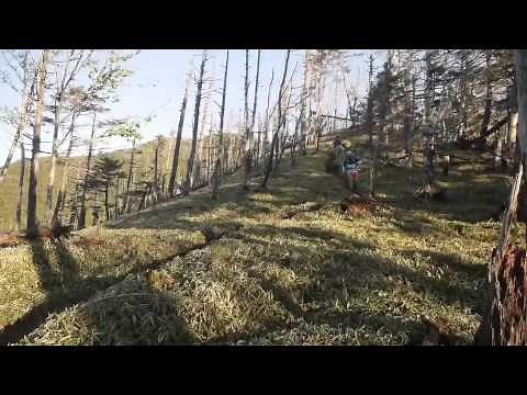 Gregory [ Fastpacking 奥秩父主脈縦走 ]