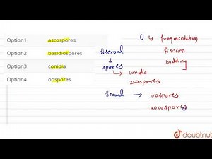 Asexual reproduction in fungi occurs by