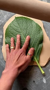 134K views · 2.7K reactions | Do you believe in dragons? What about...