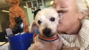 OPCA Shelter Network Alliance on Reels