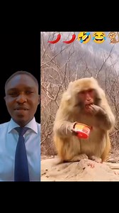Never eat hot pepper 🌶️ before 🤣🤣🤣 | Don P family