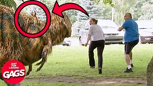 29K views · 1.2K reactions | 藍 Dive into a full hour of side-splitting funny pranks with a twist of dark humor!  Perfect for those who love their laughs with a little edge. #FunnyPranks #DarkHumorCompilation | Just For Laughs Gags | Facebook