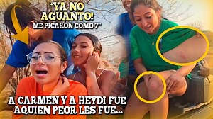 ASÍ TERMINARON LAS BICHAS DESPUÉS DE HUIR DE LAS ABEJAS. Carmen fue la mas golpeada. | El Salvador 4K