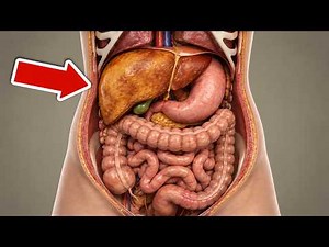 The Most Common Symptoms of Liver Disease That EVERYONE Ignores 💥 (With Fatal Consequences) 🤯