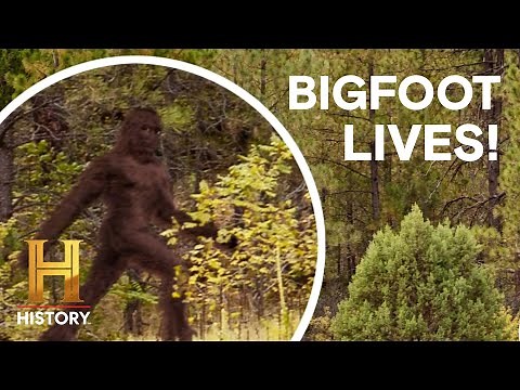 4 UNBELIEVABLE BIGFOOT SIGHTINGS! | The Proof Is Out There | History