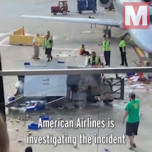 19K views · 115 reactions | Welcome to the airport rodeo 藍 | The Mirror | Facebook