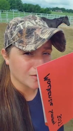 A few facts about the mustang 🩵 | Blue Pine Quarter Horses