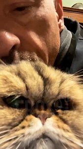 47K views · 1.9K reactions | Buongiorno  #erosramazzotti #furby #popolerosmexico | Popolerosméxico | Facebook