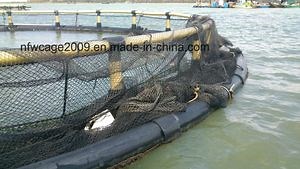 [Hot Item] Floating Cage for Deep Sea Fish Farm