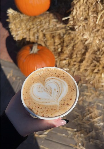 the pumpkins the rain the leaves 🍂🎃☕️ #pnw #fall #falltok #autumn #spookyseason