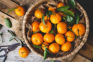 Can Eating Oranges Make You Fat?